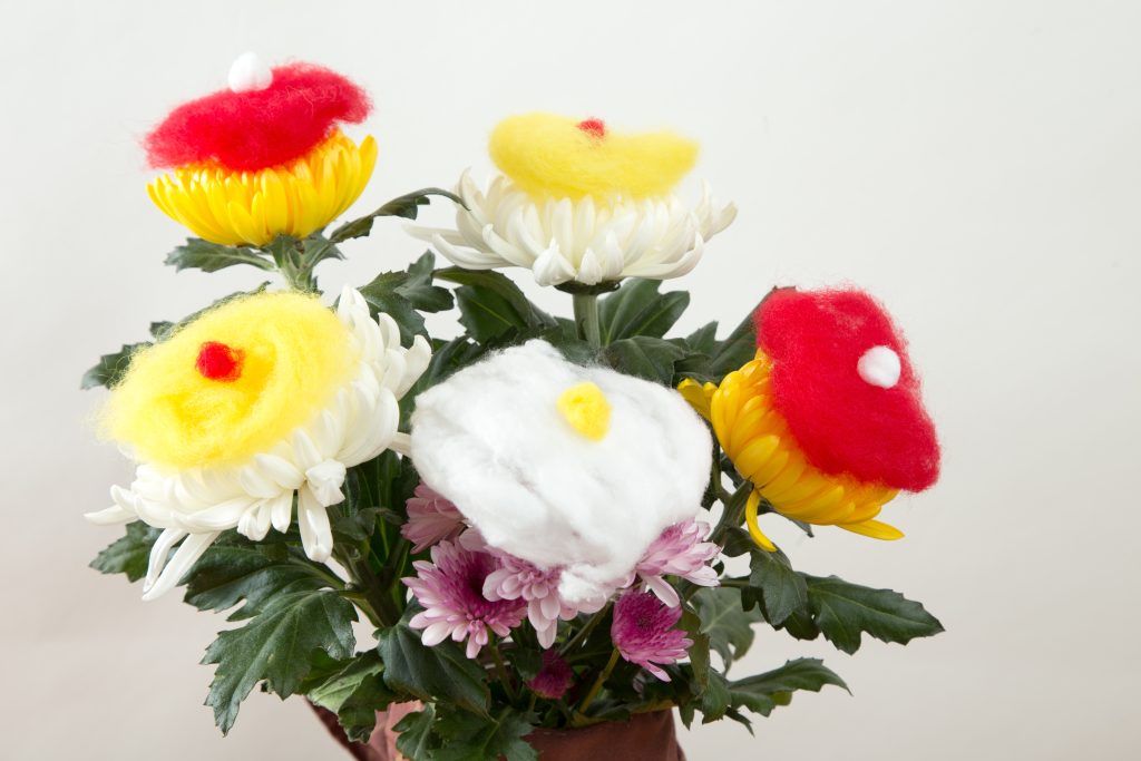 菊の花
